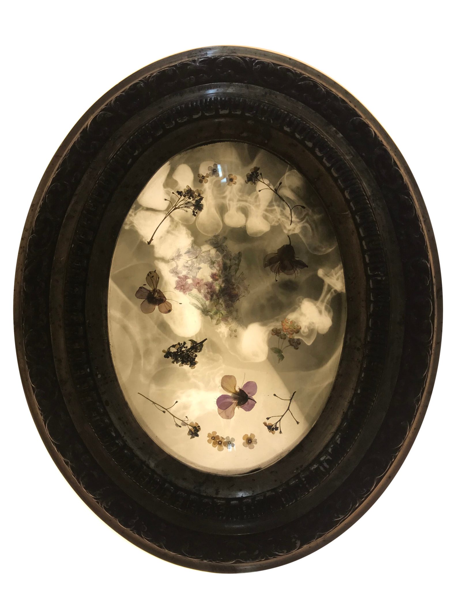 Featured Artist of the Week: Rayastre