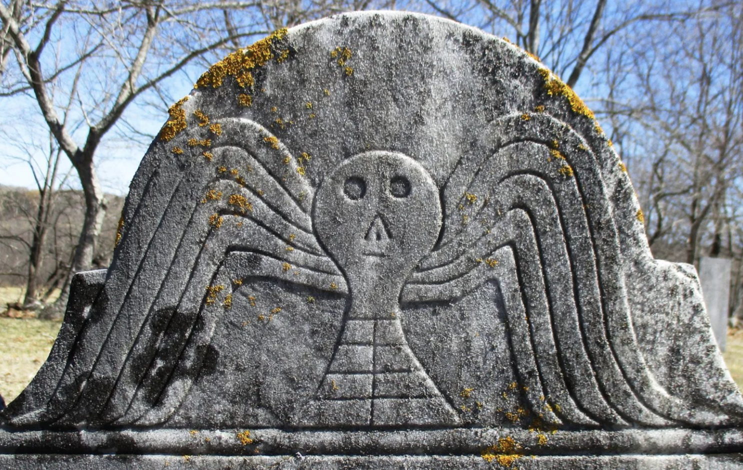 The Ninth Most Popular Work of 2024: WINGED SKULL